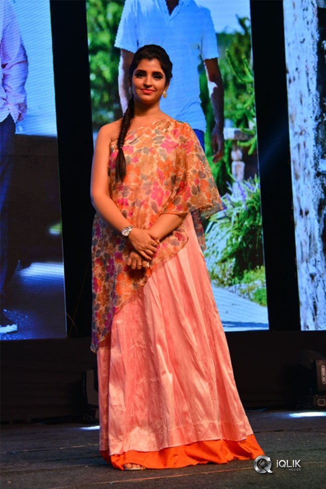 Chal-Mohan-Ranga-Pre-Release-Function-Photos